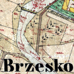 Brzesko 1847