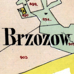 Brzozów Cadastral Map 1851