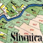Śliwnica (Sambor Kreis) Cadastral Map 1853