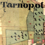 Tarnopol Composite Cadastral Map (undated)