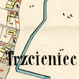 Trzcieniec Town Cadastral Map 1852