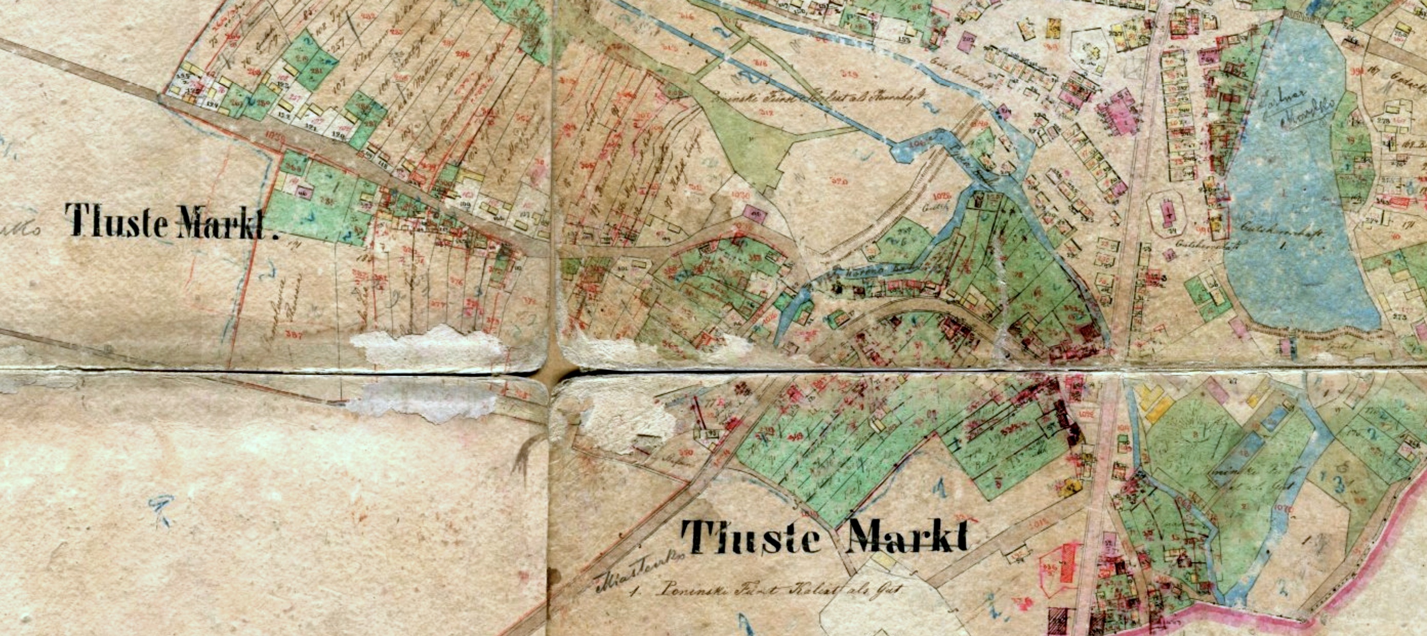 the 1858 cadastral map of Tłuste